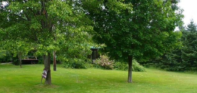 Dundee The South Glenora Tree Farm B&B 외부 사진